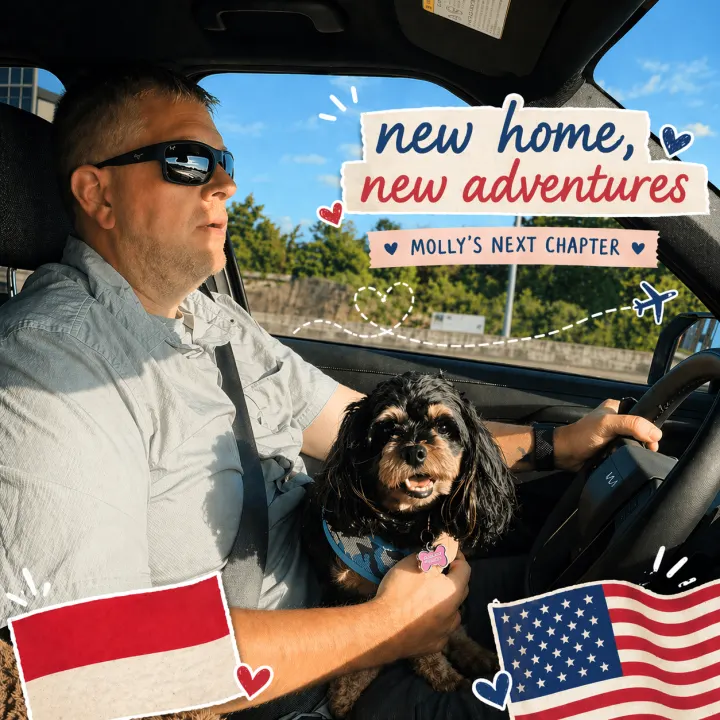 Pet Travel Indo relocation journey