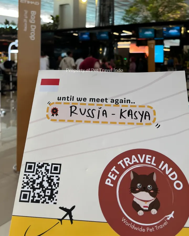 Pet Travel Indo relocation journey