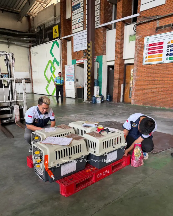Our team preparing a cargo shipment from Indonesia 🇮🇩 to South Africa 🇿🇦!