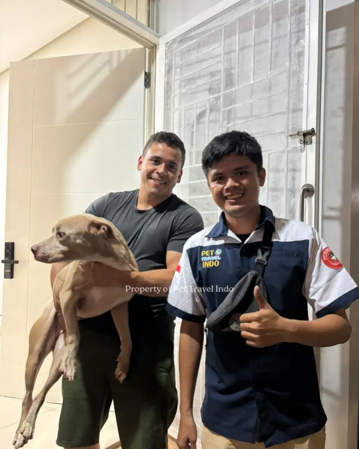 Kiki has arrived in Indonesia 🇮🇩 from Thailand 🇹🇭