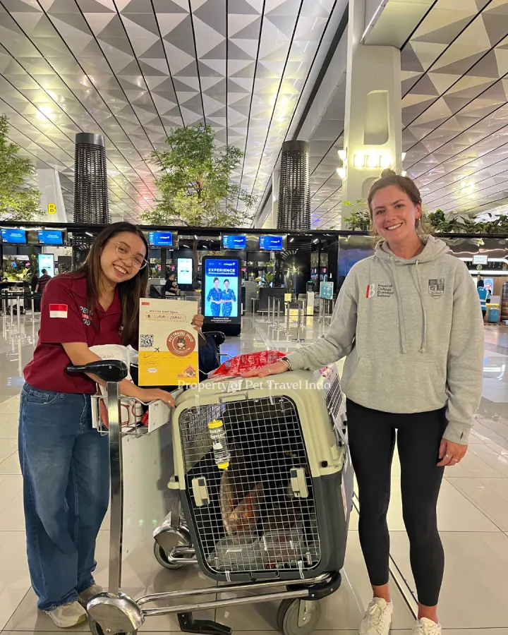 Luna is going to Spain 🇪🇸!