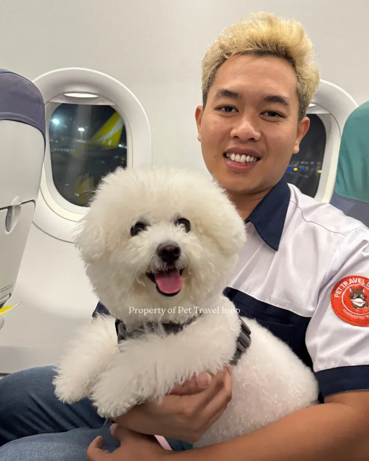 QiQi is flying with our VIP team from the Philippines 🇵🇭 to Indonesia 🇮🇩