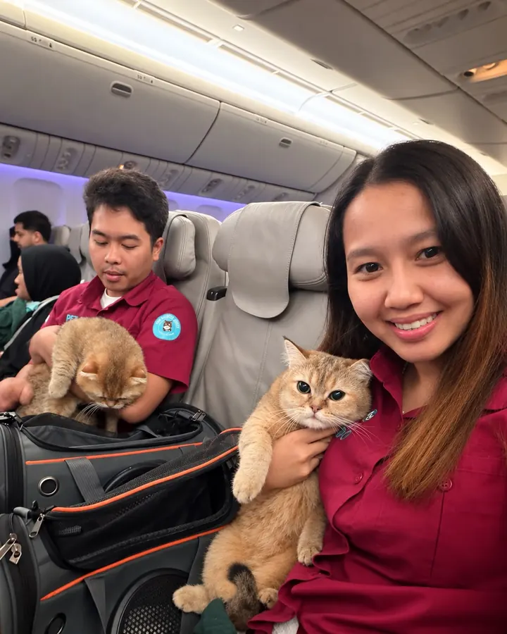 From Dubai 🇦🇪 to Indonesia 🇮🇩, in the cabin