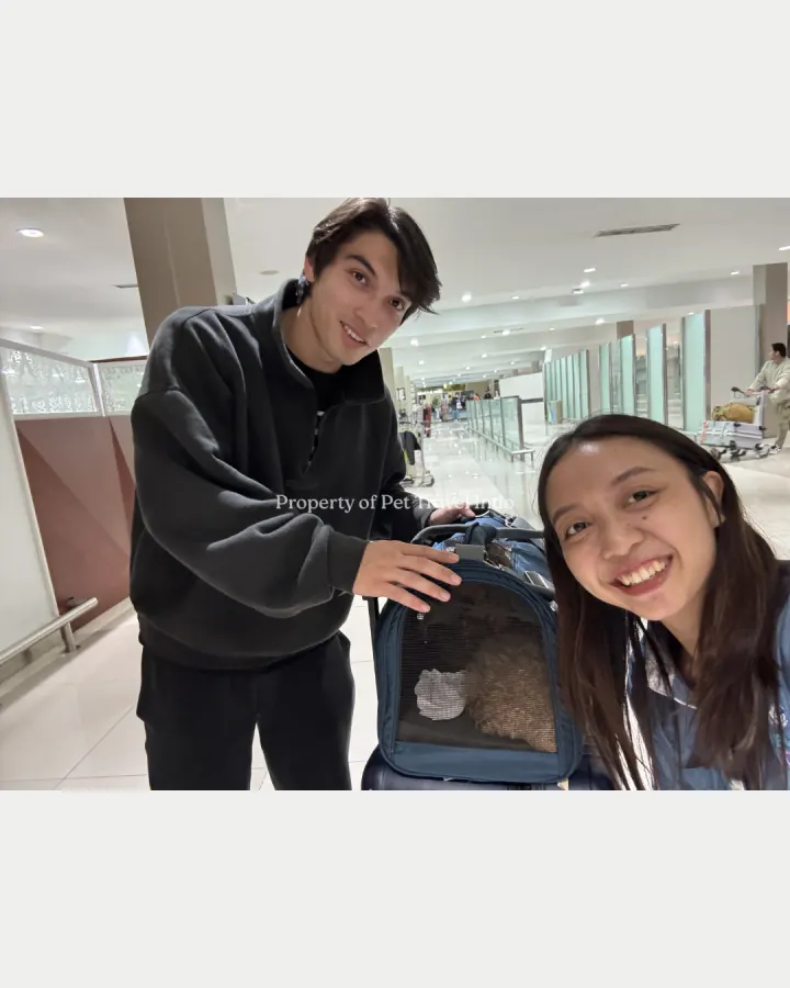 From Japan 🇯🇵 to Indonesia 🇮🇩