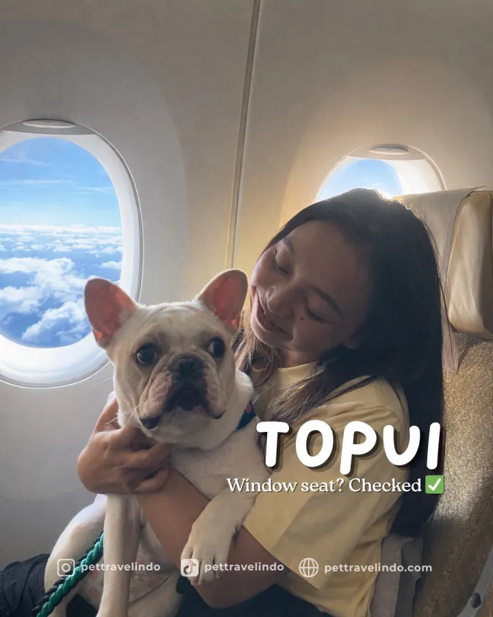 Pet Travel Indo relocation journey