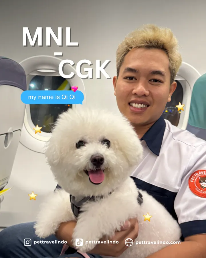 Pet Travel Indo relocation journey