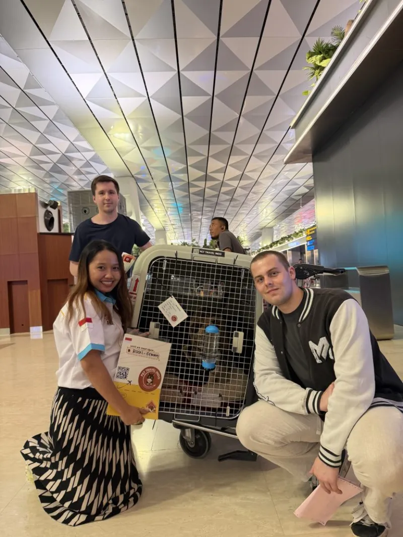 Handover of a dog in its travel crate to the owners
