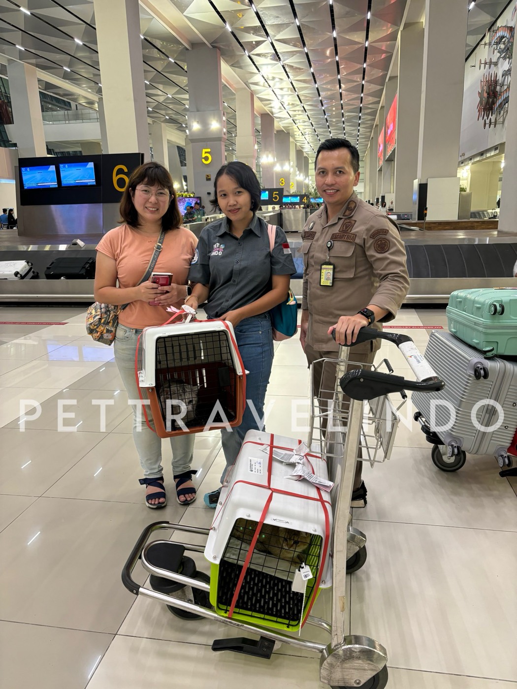 Two cats arriving with the quarantine officer