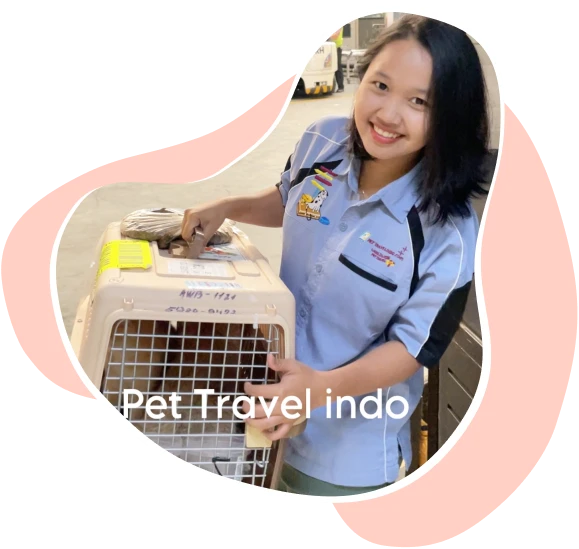 Pet Travel Indo staff with a crate at the airport