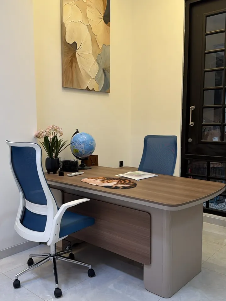 Consultation desk with a globe at the Pet Travel Indo office