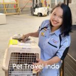 Worldwide Pet Relocation Service Export or Import to Indonesia - Pet Travel Indo