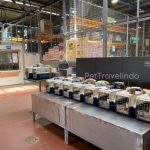 pet travelindo - hand carry, pet agent, pet cargo