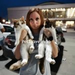 Pet Travel Indo Animal Transportation Pet Relocation