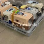 pet travelindo - hand carry, pet agent, pet cargo
