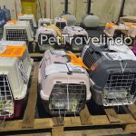 pet travelindo - hand carry, pet agent, pet cargo