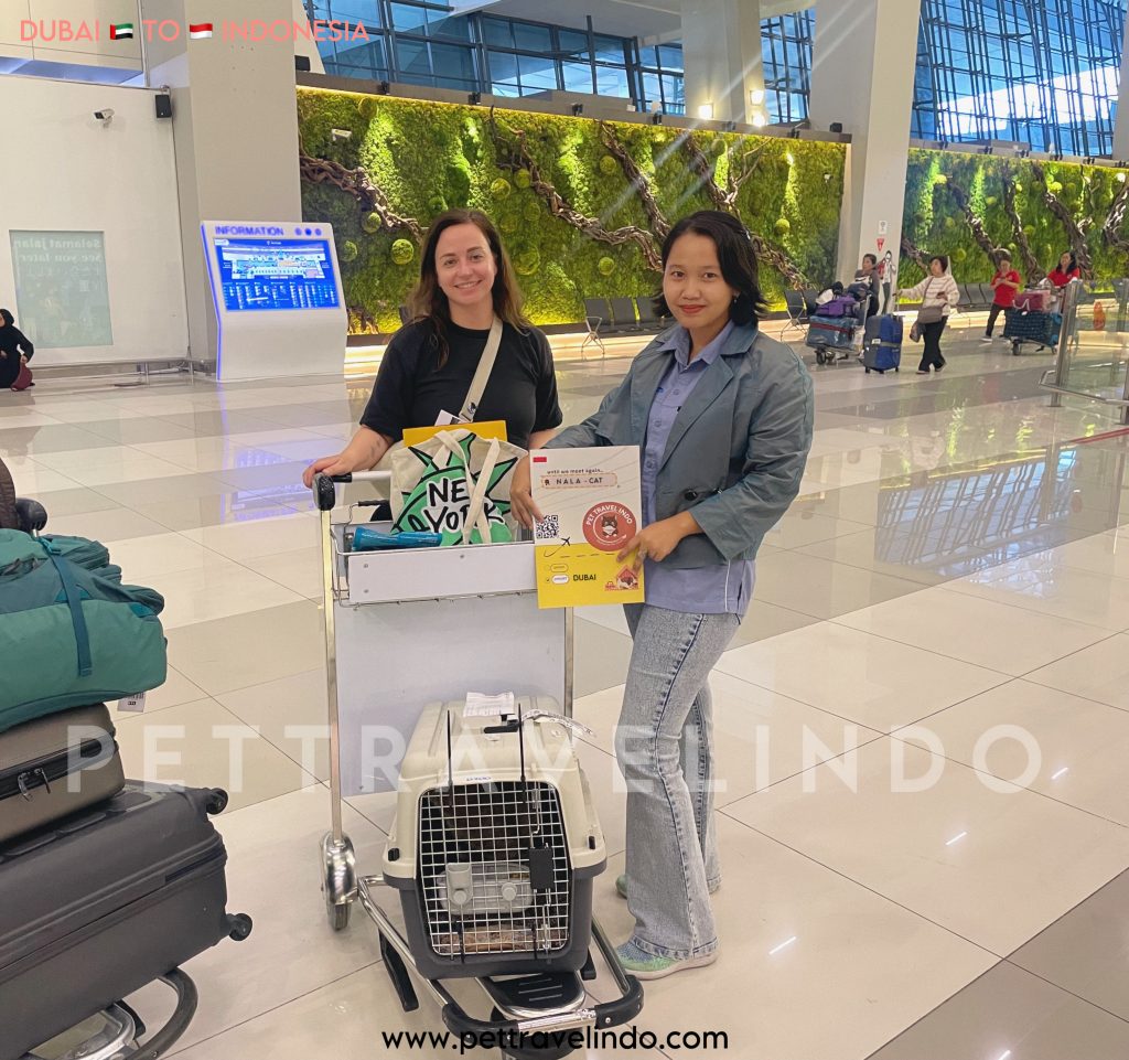 1 Tail Cat Dubai to Jakarta - Pet Travel Indo