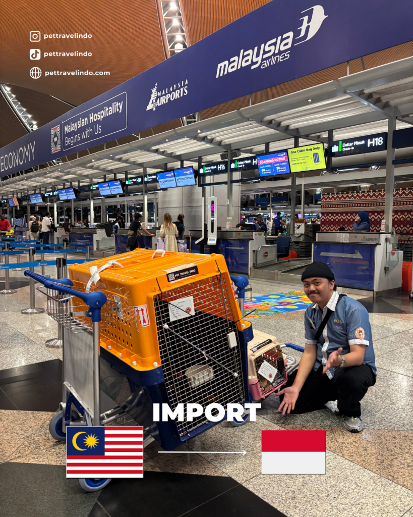 Pet Relocation from Malaysia to Jakarta-Indonesia