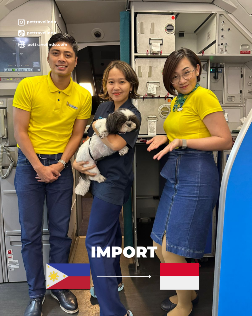Pet import from the Philippines to Indonesia — black and white Shih Tzu dog named Lilo on board before takeoff, accompanied by smiling flight attendants. Showcasing Pet Travel Indo’s VIP in-cabin pet relocation service, ensuring safe, comfortable, and stress-free international pet travel for dogs.