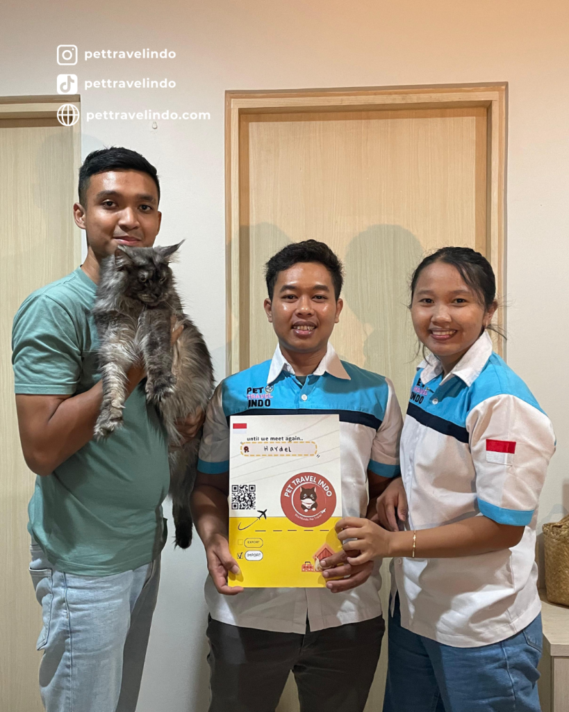 Pet relocation in Indonesia — Vina Atika and her husband standing with a client holding a large Maine Coon cat. Captured at the airport, showcasing Pet Travel Indo’s expertise in safe, secure, and comfortable international pet transport, specializing in the relocation of large cat breeds.