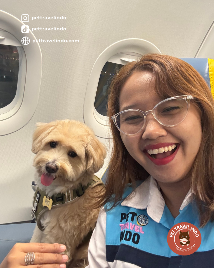 VIP service pet transport, import from Philippines to Indonesia. Vina Atika with a medium sized dog in cabin of an airplane. Captured in smiles from both her and the dog, highlighting Pet Travel Indo's VIP international pet relocation services, specializing in secure, comfortable, and premium pet transport.