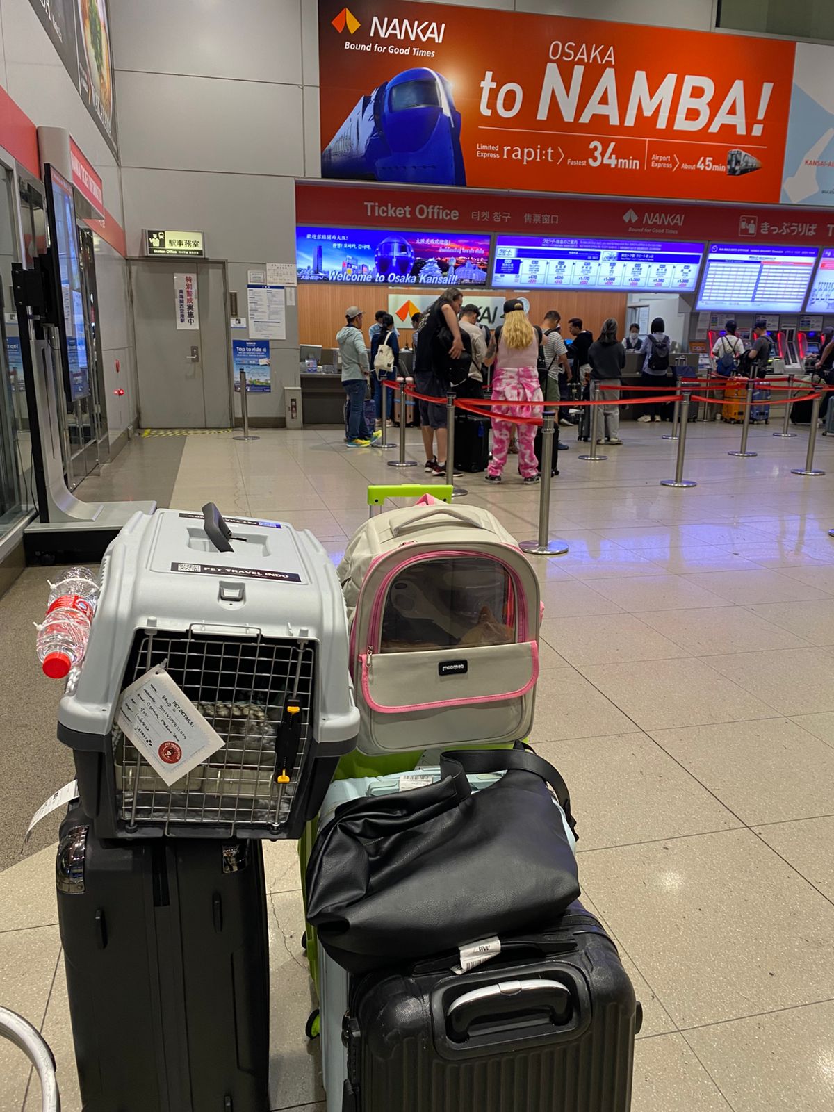 Pet carrier and luggage belonging to Piti the cat seen at Kansai International Airport in Osaka, Japan, shortly after arriving from Indonesia—marking Piti’s safe arrival and Pet Travel Indo’s first successful pet relocation to Japan.