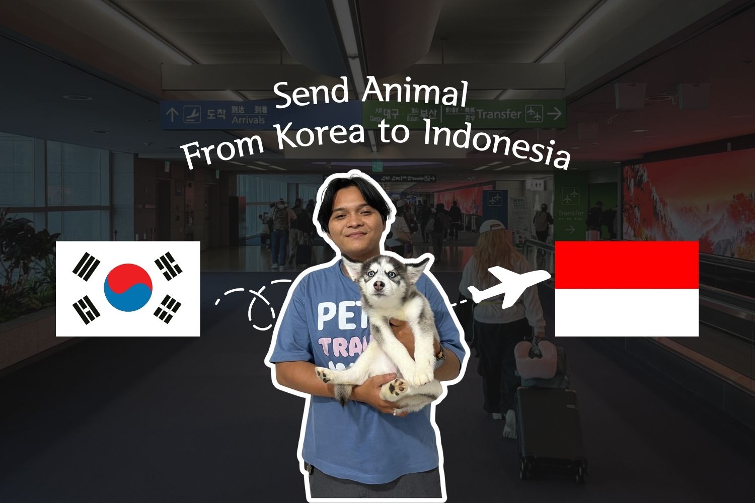Send Animal From Korea to Indonesia