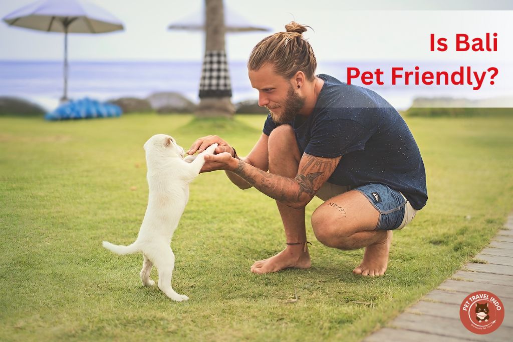 Is Bali Pet Friendly