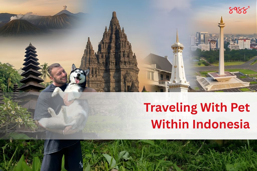 traveling with pet within Indonesia