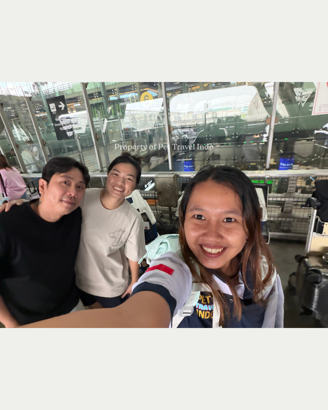 Pico Fams from Philippines 🇵🇭 to Thailand 🇹🇭